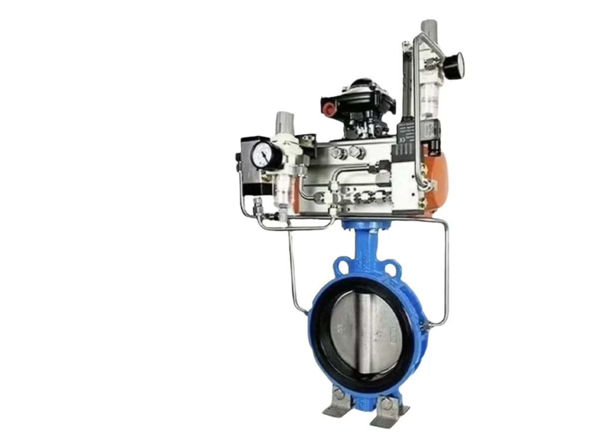 Butterfly Valve