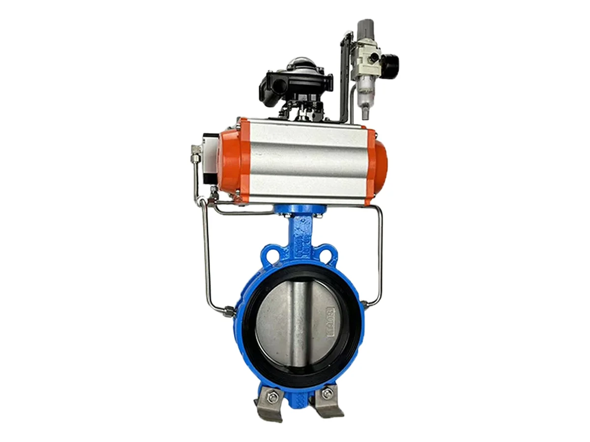 Butterfly valve with pneumatic actuator - view 2